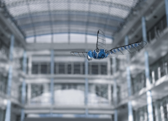 A legújabb fejlesztés, a BionicOpter a szitakötők repülését imitálja